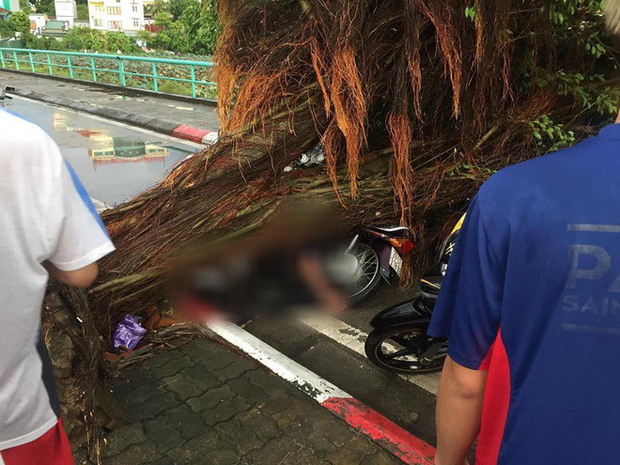 Cây xanh đổ khắp Hà Nội do ảnh hưởng của bão số 4, một thanh niên 26 tuổi tử vong thương tâm - Ảnh 24.