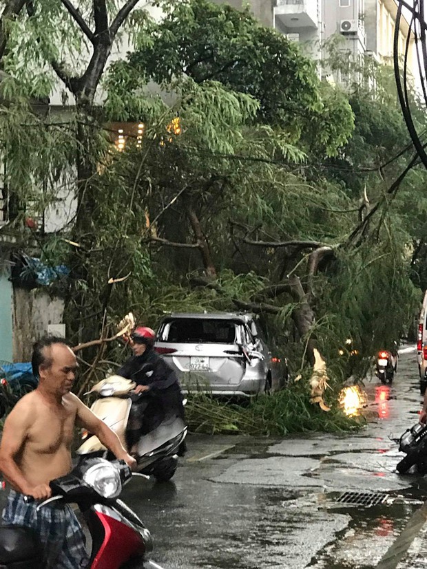 Cây xanh đổ khắp Hà Nội do ảnh hưởng của bão số 4, một thanh niên 26 tuổi tử vong thương tâm - Ảnh 8.