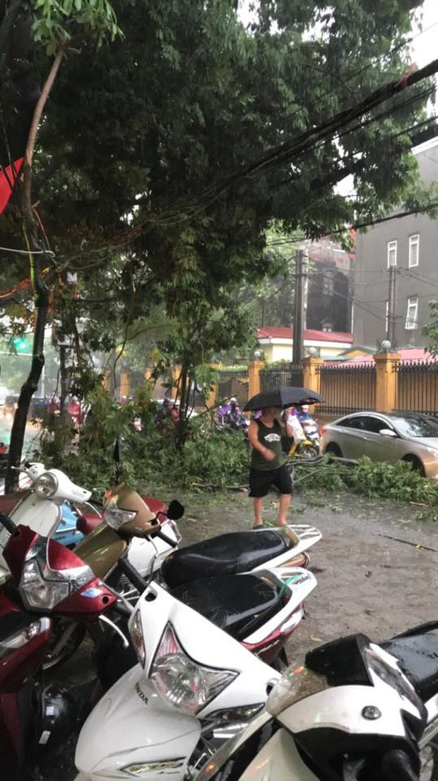 Cây xanh đổ khắp Hà Nội do ảnh hưởng của bão số 4, một thanh niên 26 tuổi tử vong thương tâm - Ảnh 19.