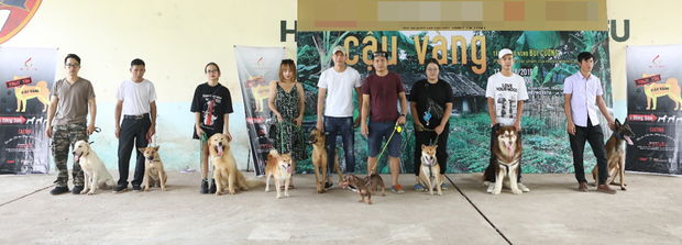 Làm gì có chuyện dùng chó thuần Việt đóng thế cho Cậu Vàng Shiba Inu, nhà sản xuất lên tiếng rồi đây này! - Ảnh 4. Làm gì có chuyện dùng chó thuần Việt đóng thế cho Cậu Vàng Shiba Inu, nhà sản xuất lên tiếng rồi đây này! - Ảnh 4.
