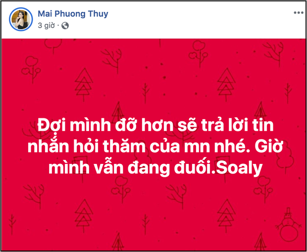 Thông báo phải nhập viện giữa đêm, Mai Phương Thúy khiến dàn sao Việt và khán giả lo lắng - Ảnh 4.