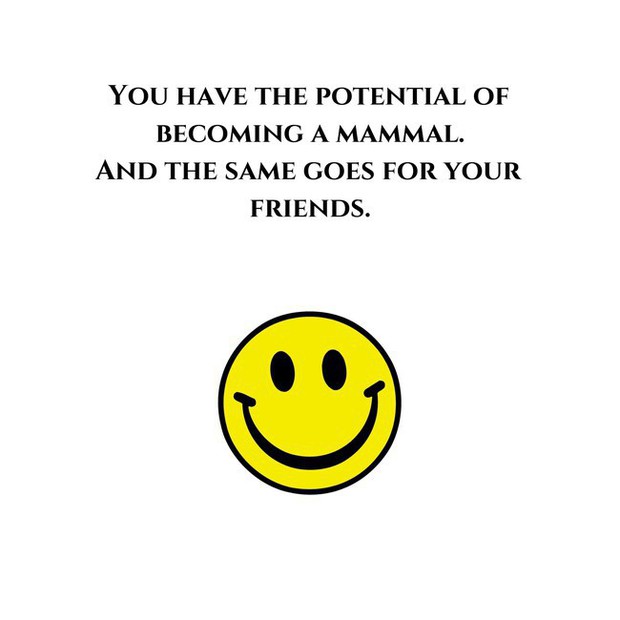 Con Bot này sinh ra để an ủi, thế nào lại thở những câu vô cùng bi quan và khó ngửi - Ảnh 2.