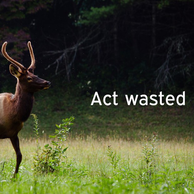 Con Bot này sinh ra để an ủi, thế nào lại thở những câu vô cùng bi quan và khó ngửi - Ảnh 12.