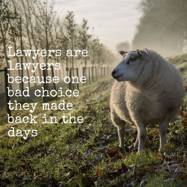 Con Bot này sinh ra để an ủi, thế nào lại thở những câu vô cùng bi quan và khó ngửi - Ảnh 4.