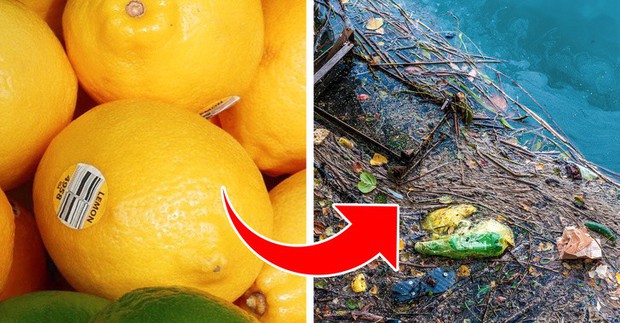 7 loại rác rất nhiều người đang đổ xuống ống cống mà không biết rằng thảm họa nước thải ngập nhà đang đợi mình - Ảnh 5. 7 loại rác rất nhiều người đang đổ xuống ống cống mà không biết rằng thảm họa nước thải ngập nhà đang đợi mình - Ảnh 5.