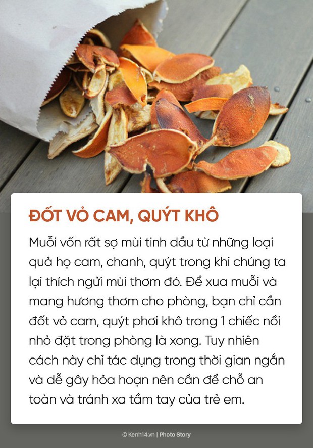 Dịch sốt xuất huyết lại bùng lên, đừng bỏ qua những cách đuổi muỗi đơn giản dễ áp dụng này để muỗi không có cơ hội hại bạn - Ảnh 11.