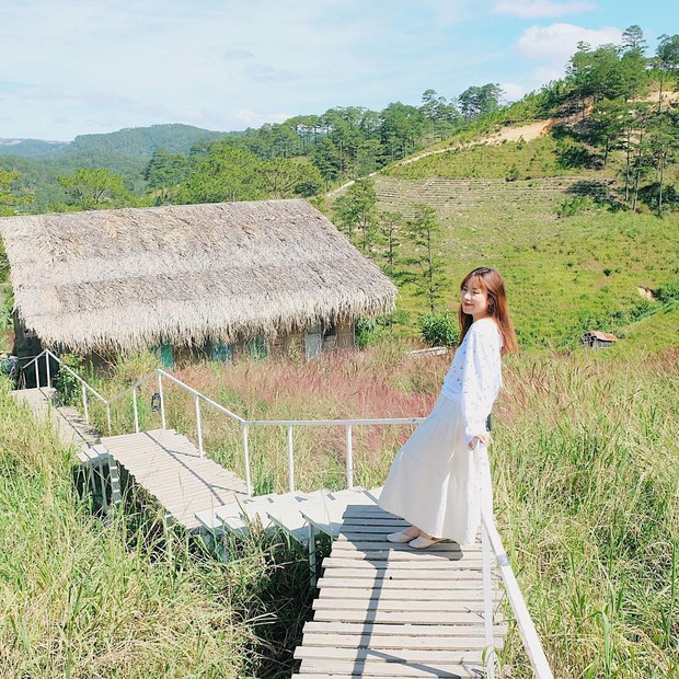 Quán cafe homestay hot nhất Đà Lạt bất ngờ đóng cửa vì tranh chấp đất, dân mạng hụt hẫng khi còn chưa kịp check-in - Ảnh 1.