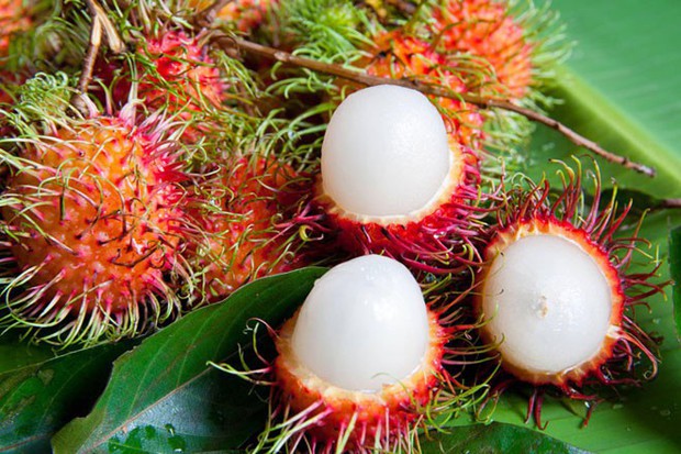 5 nhóm người không nên ăn chôm chôm kẻo sinh bệnh, rước họa vào thân - Ảnh 3. 5 nhóm người không nên ăn chôm chôm kẻo sinh bệnh, rước họa vào thân - Ảnh 3.