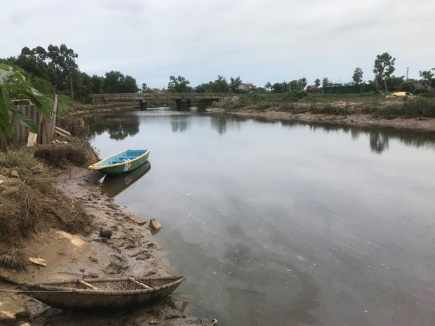 Hà Tĩnh: Người dân nơm nớp lo khi cá sấu xuất hiện trên sông - Ảnh 1. Hà Tĩnh: Người dân nơm nớp lo khi cá sấu xuất hiện trên sông - Ảnh 1.