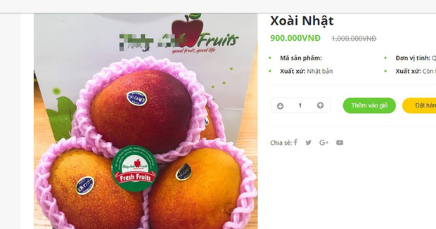 Điểm danh 6 loại hoa quả đắt đỏ nhất hiện nay, chỉ dành cho giới nhà giàu - Ảnh 16.