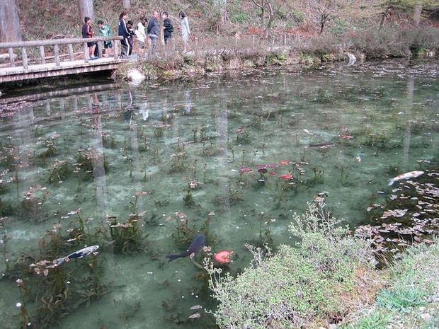 Hồ Nhật Bản đẹp như tranh sơn dầu của Monet: 20 năm trước vô danh, không ai biết đến, giờ thành địa điểm hút khách bậc nhất xứ hoa anh đào - Ảnh 2.