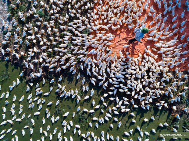 duoc ca national geographic vinh danh, loat canh dep nhin tu tren cao nay la minh chung cho cau noi: viet nam minh dep lam! - anh 14