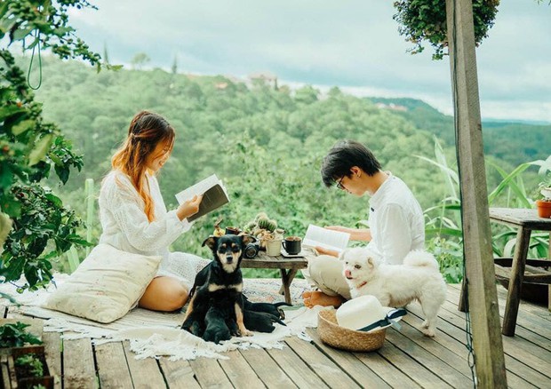 5 điều không ai nói khi du lịch Đà Lạt, đọc kỹ trước khi đi để khỏi “vỡ mộng” bạn nhé! - Ảnh 1. 5 điều không ai nói khi du lịch Đà Lạt, đọc kỹ trước khi đi để khỏi “vỡ mộng” bạn nhé! - Ảnh 1.
