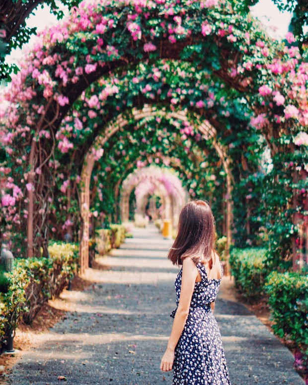 Con đường hoa ảo diệu ở Singapore được các travel blogger lăng xê nhiệt tình thực chất là một cái... nghĩa trang! - Ảnh 20.