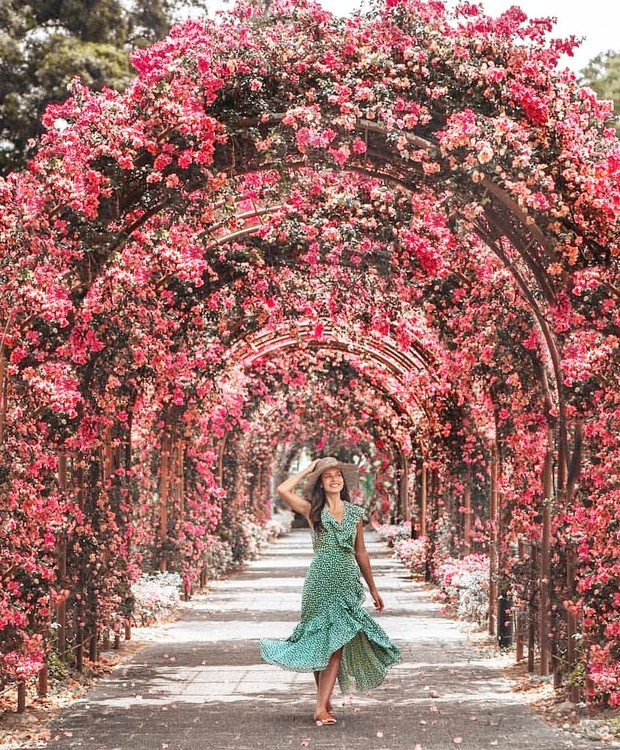 Con đường hoa ảo diệu ở Singapore được các travel blogger lăng xê nhiệt tình thực chất là một cái... nghĩa trang! - Ảnh 8.