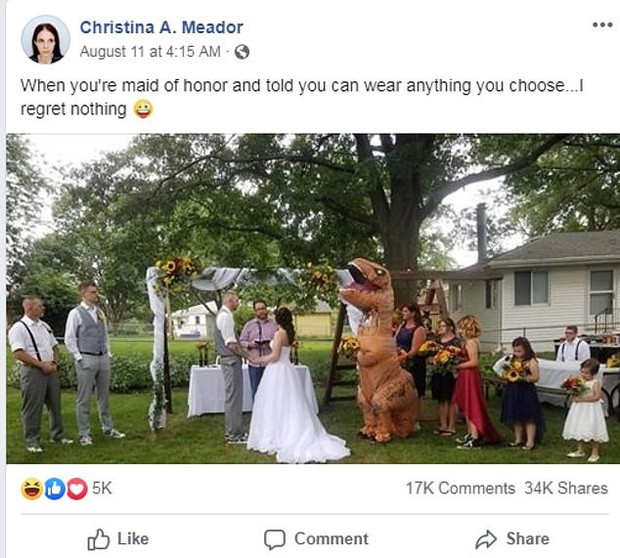 Nghe chị bảo mặc gì cũng được, em gái cosplay khủng long T-rex tới đại náo hôn lễ rồi nổi đình đám trên MXH - Ảnh 2.