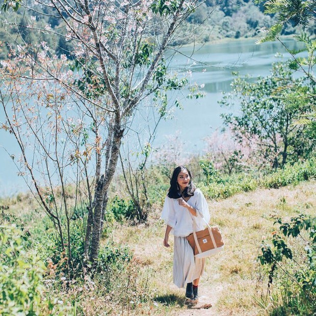 Lại một góc sống ảo Đà Lạt lên hình đẹp miễn chê còn ở ngoài thì... thấy ghê: Cái đập nước thôi mà ảo vậy hả? - Ảnh 25. Lại một góc sống ảo Đà Lạt lên hình đẹp miễn chê còn ở ngoài thì... thấy ghê: Cái đập nước thôi mà ảo vậy hả?