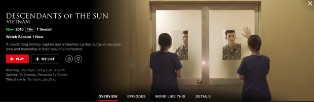 Hậu Duệ Mặt Trời bản Việt trở thành phim truyền hình Việt Nam đầu tiên lên kệ Netflix - Ảnh 4.