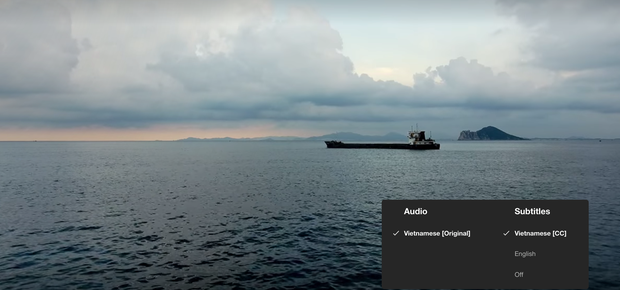 Hậu Duệ Mặt Trời bản Việt trở thành phim truyền hình Việt Nam đầu tiên lên kệ Netflix - Ảnh 6.