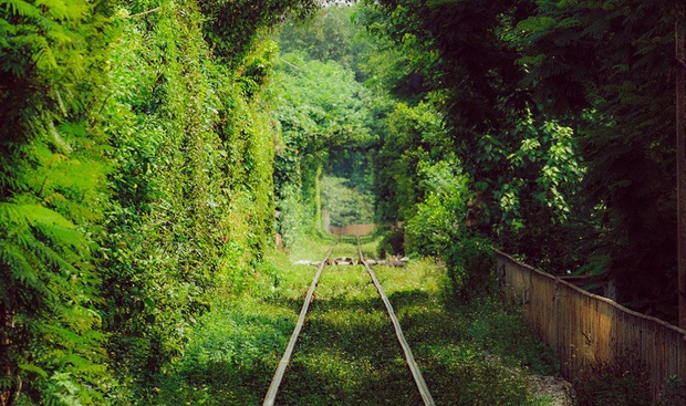 “Đường hầm tình yêu” đẹp như phim điện ảnh có thật 100% trên thế giới, ở Việt Nam cũng có 1 con đường tàu tương tự - Ảnh 24.