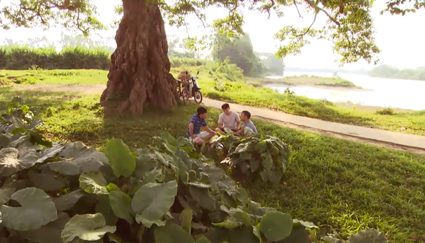 4 lý do không nên bỏ qua Cô Gái Nhà Người Ta của Phương Oanh, gái ngành Quỳnh Búp Bê hóa cô giáo quê nhu mì - Ảnh 2.