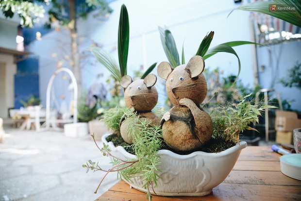 Dừa hình con chuột độc đáo ở Sài Gòn giá gần 1 triệu đồng, khách nườm nượp đặt hàng dịp Tết Canh Tý 2020 - Ảnh 6. Dừa hình con chuột độc đáo ở Sài Gòn giá gần 1 triệu đồng, khách nườm nượp đặt hàng dịp Tết Canh Tý 2020 - Ảnh 6.