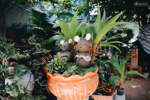 Dừa hình con chuột độc đáo ở Sài Gòn giá gần 1 triệu đồng, khách nườm nượp đặt hàng dịp Tết Canh Tý 2020 - Ảnh 5. Dừa hình con chuột độc đáo ở Sài Gòn giá gần 1 triệu đồng, khách nườm nượp đặt hàng dịp Tết Canh Tý 2020 - Ảnh 5.