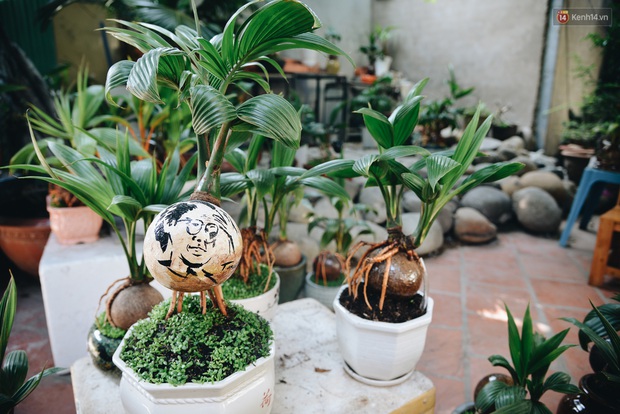Dừa hình con chuột độc đáo ở Sài Gòn giá gần 1 triệu đồng, khách nườm nượp đặt hàng dịp Tết Canh Tý 2020 - Ảnh 12. Dừa hình con chuột độc đáo ở Sài Gòn giá gần 1 triệu đồng, khách nườm nượp đặt hàng dịp Tết Canh Tý 2020 - Ảnh 12.