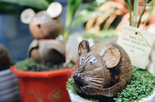 Dừa hình con chuột độc đáo ở Sài Gòn giá gần 1 triệu đồng, khách nườm nượp đặt hàng dịp Tết Canh Tý 2020 - Ảnh 4. Dừa hình con chuột độc đáo ở Sài Gòn giá gần 1 triệu đồng, khách nườm nượp đặt hàng dịp Tết Canh Tý 2020 - Ảnh 4.