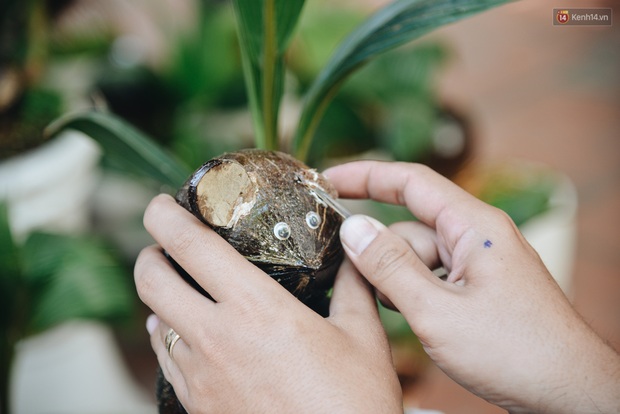 Dừa hình con chuột độc đáo ở Sài Gòn giá gần 1 triệu đồng, khách nườm nượp đặt hàng dịp Tết Canh Tý 2020 - Ảnh 3. Dừa hình con chuột độc đáo ở Sài Gòn giá gần 1 triệu đồng, khách nườm nượp đặt hàng dịp Tết Canh Tý 2020 - Ảnh 3.