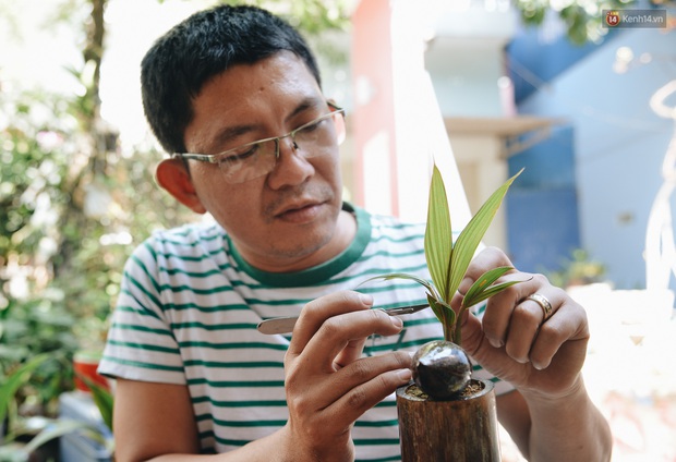 Dừa hình con chuột độc đáo ở Sài Gòn giá gần 1 triệu đồng, khách nườm nượp đặt hàng dịp Tết Canh Tý 2020 - Ảnh 7. Dừa hình con chuột độc đáo ở Sài Gòn giá gần 1 triệu đồng, khách nườm nượp đặt hàng dịp Tết Canh Tý 2020 - Ảnh 7.