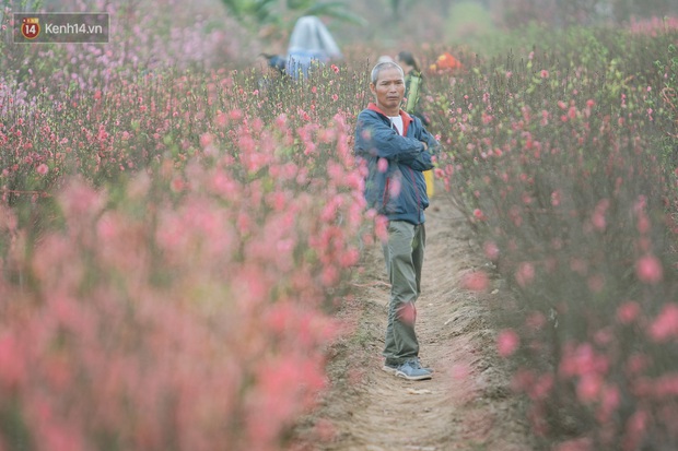 Chợ hoa lớn nhất Hà Nội nhộn nhịp những ngày sát Tết Nguyên Đán - Ảnh 10.