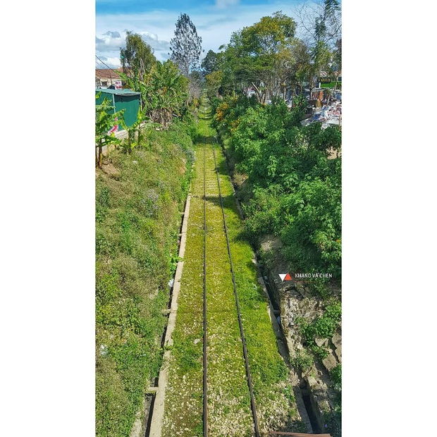 Đà Lạt lại lộ diện con đường tàu tình chẳng khác nào khung trời Nhật Bản, hiểm nguy vẫn rình rập du khách ghé thăm - Ảnh 8. Đà Lạt lại lộ diện con đường tàu tình chẳng khác nào khung trời Nhật Bản, hiểm nguy vẫn rình rập du khách ghé thăm - Ảnh 8.