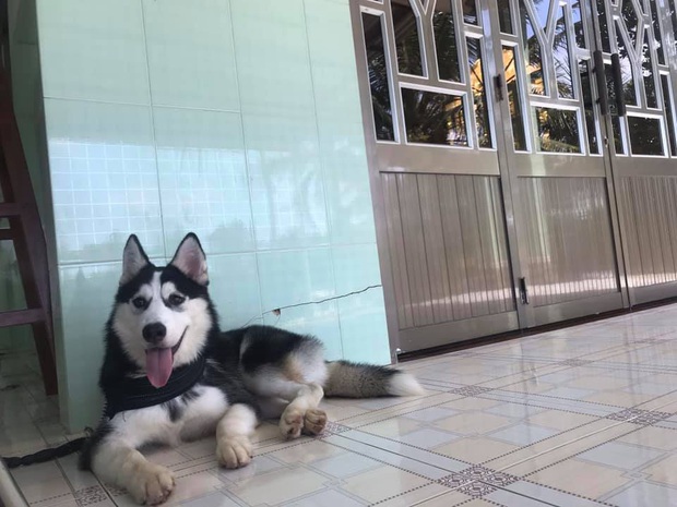 Đường về quê ăn Tết của Đại Boss: Có em phè phỡn Đường về quê ăn Tết của Đại Boss: Có em phè phỡn
