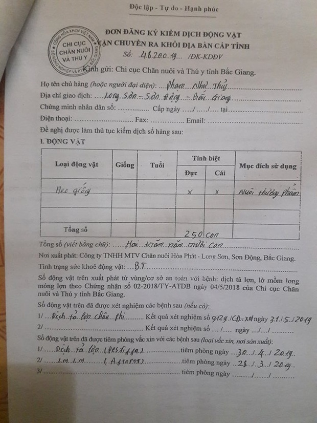 Hà Nội: Phải tiêu hủy 214 con lợn mà chưa được nhận tiền hỗ trợ, người dân có nguy cơ mất Tết - Ảnh 5. Hà Nội: Phải tiêu hủy 214 con lợn mà chưa được nhận tiền hỗ trợ, người dân có nguy cơ mất Tết - Ảnh 5.