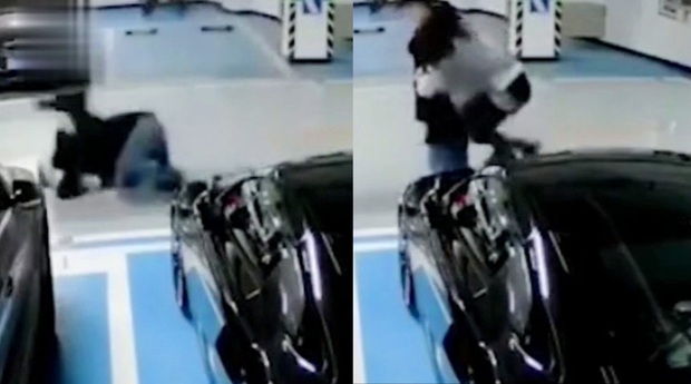 Cô gái nũng nịu đòi bạn trai cõng khiến cả hai ngã lộn cổ, sau khi xem đoạn video cư dân mạng không biết nên khóc hay nên cười - Ảnh 2. Cô gái nũng nịu đòi bạn trai cõng khiến cả hai ngã lộn cổ, sau khi xem đoạn video cư dân mạng không biết nên khóc hay nên cười - Ảnh 2.