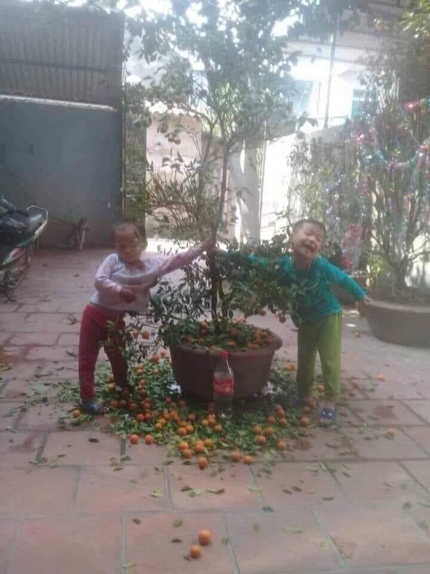 Festival Âm lịch đã gần lắm rồi, riêng những gia đình nuôi giặc nhà này thì chỉ một từ: Toang!!! - Ảnh 3. Festival Âm lịch đã gần lắm rồi, riêng những gia đình nuôi giặc nhà này thì chỉ một từ: Toang!!! - Ảnh 3.