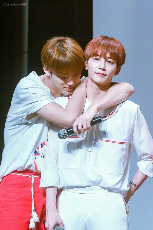 Từng hét vào mặt nhau suốt 1 tiếng rưỡi, 2 mỹ nam Seventeen liền bị đồng đội ghép cặp để cà khịa - Ảnh 3. Từng hét vào mặt nhau suốt 1 tiếng rưỡi, 2 mỹ nam Seventeen liền bị đồng đội ghép cặp để cà khịa - Ảnh 3.