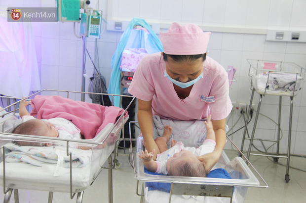 Mẹ đẻ ở bệnh viện Từ Dũ rồi bỏ đi biệt tích, 3 bé gái 4 tháng tuổi phải chuyển đến nơi nuôi trẻ mồ côi trước Tết - Ảnh 8.