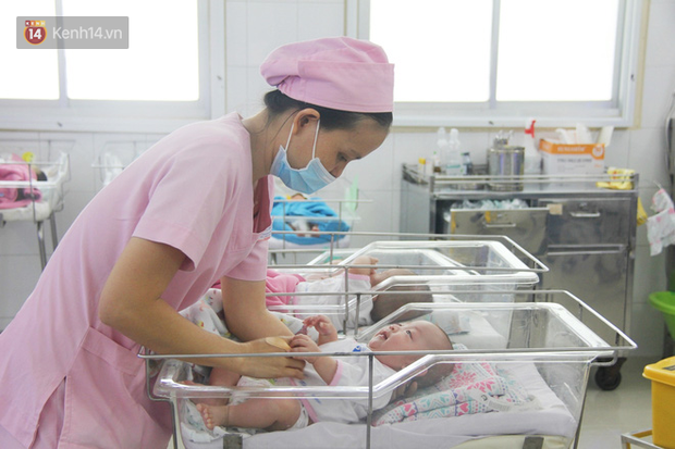 Mẹ đẻ ở bệnh viện Từ Dũ rồi bỏ đi biệt tích, 3 bé gái 4 tháng tuổi phải chuyển đến nơi nuôi trẻ mồ côi trước Tết - Ảnh 1.