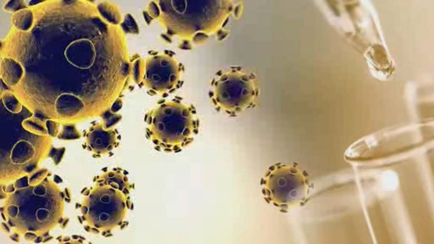 Virus lạ cực nguy hiểm tại Trung Quốc được xác nhận lây từ người sang người: Đây là những gì chúng ta biết về nó ở thời điểm hiện tại - Ảnh 4. Virus lạ cực nguy hiểm tại Trung Quốc được xác nhận lây từ người sang người: Đây là những gì chúng ta biết về nó ở thời điểm hiện tại - Ảnh 4.