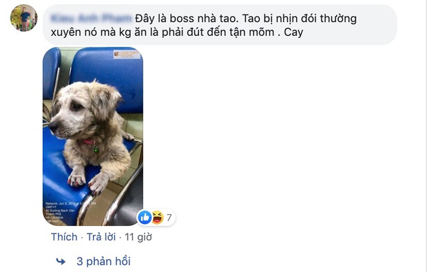 Nỗi niềm của hội về quê ăn Tết nhưng bị ra rìa vì bố mẹ chỉ cưng chiều đám boss: Con mới là con ruột mà! - Ảnh 11.