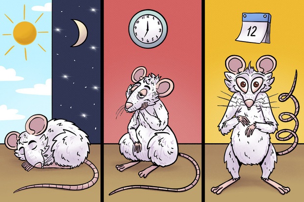 Tác hại kinh khủng của việc thiếu ngủ: Não bộ của bạn có thể tự ăn chính nó và đây là cách để thảm họa này không xảy ra - Ảnh 3. Tác hại kinh khủng của việc thiếu ngủ: Não bộ của bạn có thể tự ăn chính nó và đây là cách để thảm họa này không xảy ra - Ảnh 3.