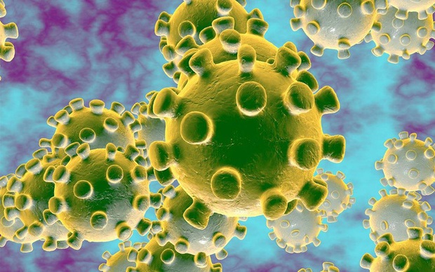 25 người tử vong và 8 thành phố bị phong tỏa vì virus Vũ Hán - nó đã lây lan nhanh như thế nào? - Ảnh 2. 25 người tử vong và 8 thành phố bị phong tỏa vì virus Vũ Hán - nó đã lây lan nhanh như thế nào? - Ảnh 2.