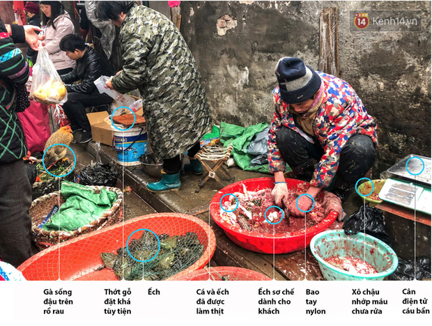 25 người tử vong và 8 thành phố bị phong tỏa vì virus Vũ Hán - nó đã lây lan nhanh như thế nào? - Ảnh 5. 25 người tử vong và 8 thành phố bị phong tỏa vì virus Vũ Hán - nó đã lây lan nhanh như thế nào? - Ảnh 5.