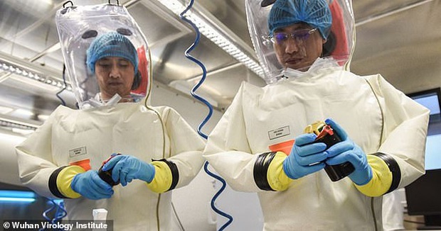 Virus Vũ Hán bị nghi là sản phẩm của phòng thí nghiệm, có liên quan đến chương trình chiến tranh sinh học của Trung Quốc - Ảnh 2. Virus Vũ Hán bị nghi là sản phẩm của phòng thí nghiệm, có liên quan đến chương trình chiến tranh sinh học của Trung Quốc - Ảnh 2.