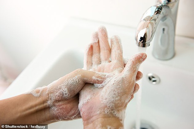 Làm sao để đi du lịch Tết an toàn khi virus Corona đang hoành hành: Rửa tay mới thực sự là cách tốt nhất để ngăn chặn sự lây nhiễm, chuyên gia khuyến cáo - Ảnh 3.