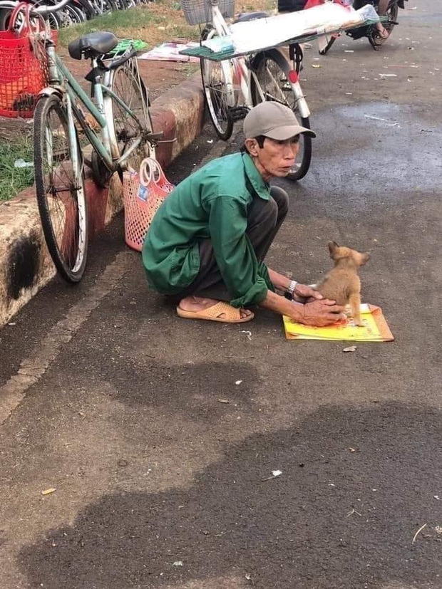 Câu chuyện Lão Hạc bán chó giữa đời thật và sự thiện lành ngày cuối năm khiến nhiều người xúc động - Ảnh 1. Câu chuyện Lão Hạc bán chó giữa đời thật và sự thiện lành ngày cuối năm khiến nhiều người xúc động - Ảnh 1.
