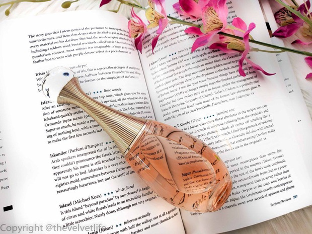 Bất ngờ khi biết những loại nước hoa mà phụ nữ Pháp yêu thích nhất, cũng là gợi ý cực hay để diện dịp đầu Xuân - Ảnh 4. Bất ngờ khi biết những loại nước hoa mà phụ nữ Pháp yêu thích nhất, cũng là gợi ý cực hay để diện dịp đầu Xuân - Ảnh 4.