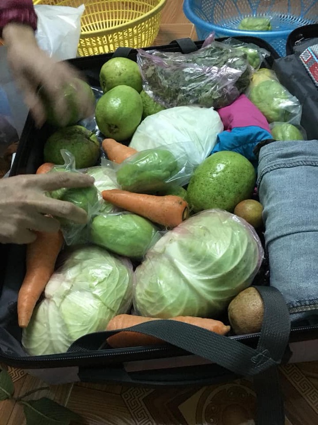 Hết Tết cô gái xách chiếc vali hơn 40kg mang cả quê hương lên phố: 100 trứng gà, 10kg khế ngọt, 2 cái bánh chưng, gà cá đủ cả - Ảnh 4. Hết Tết cô gái xách chiếc vali hơn 40kg mang cả quê hương lên phố: 100 trứng gà, 10kg khế ngọt, 2 cái bánh chưng, gà cá đủ cả - Ảnh 4.